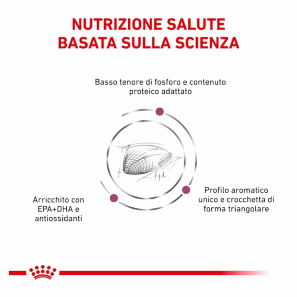 Royal Canin Cat Veterinary Diet Renal Special - 400 g - immagine 2