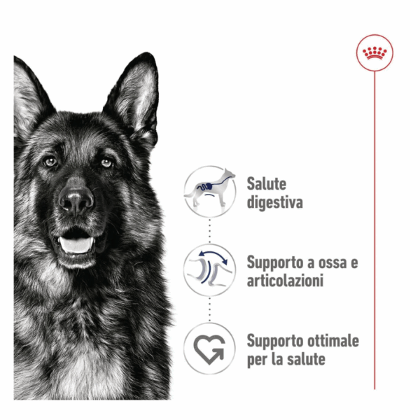Royal Canin Dog Maxi Adult Lattina - 410 g - immagine 4