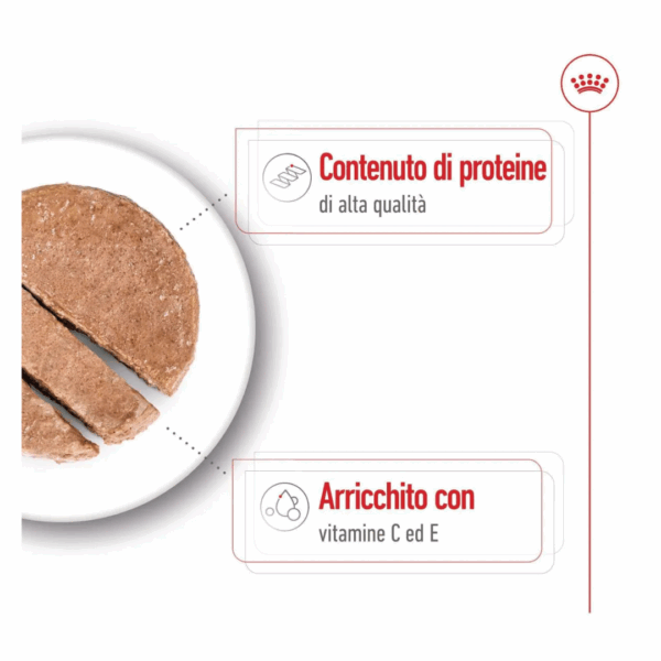 Royal Canin Dog Medium Adult Lattina - 410 g - immagine 3
