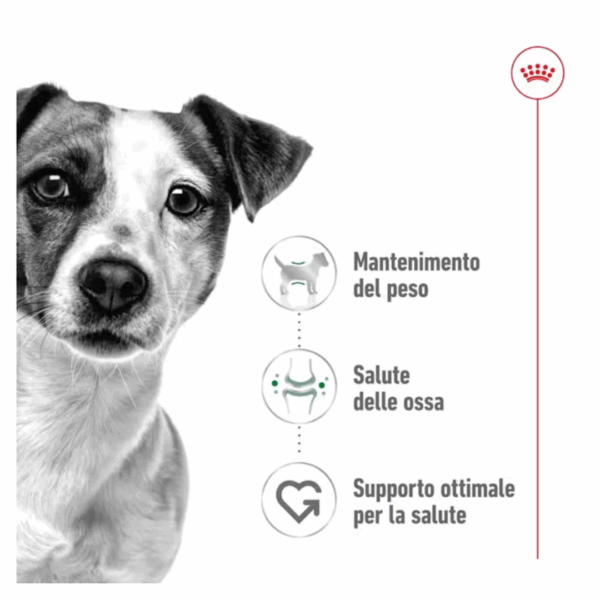 Royal Canin Dog Mini Adult Lattina - 410 g - immagine 4