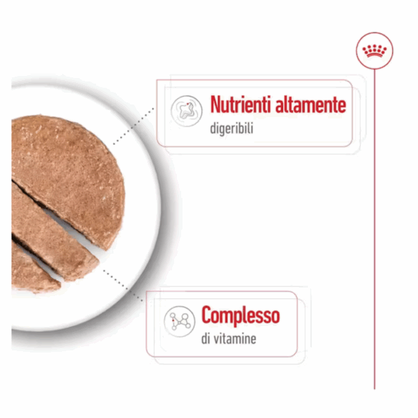Royal Canin Dog Mini Adult Lattina - 410 g - immagine 3