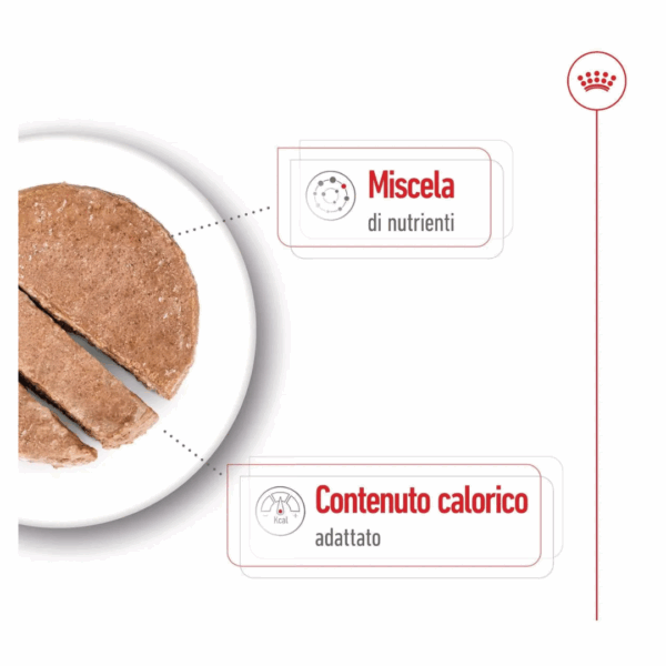Royal Canin Dog Mini Ageing Lattina - 410 g - immagine 4