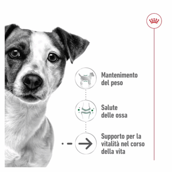 Royal Canin Dog Mini Ageing Lattina - 410 g - immagine 5