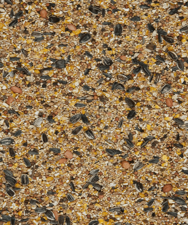 Versele-Laga Menu Nature 4 Season Blend - 1 kg - immagine 3
