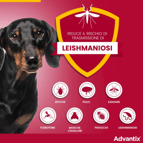 Advantix Dog Antiparassitario Spot-on (da 25 a 40 kg) - 4X4 ml - immagine 3