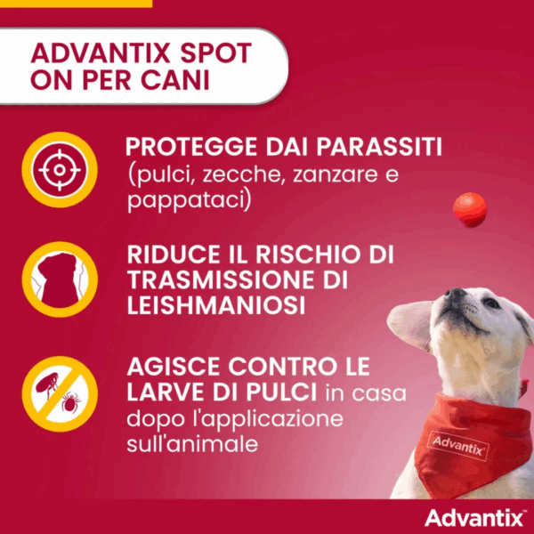 Advantix Dog Antiparassitario Spot-on (da 25 a 40 kg) - 4X4 ml - immagine 2