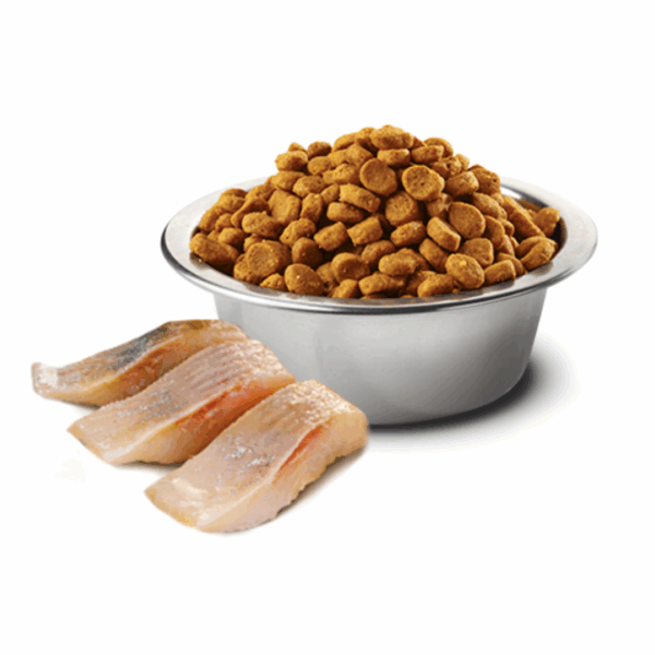 Farmina Cat N&D Ocean Adult Neutered Aringa e Arancia - 300 g - immagine 3
