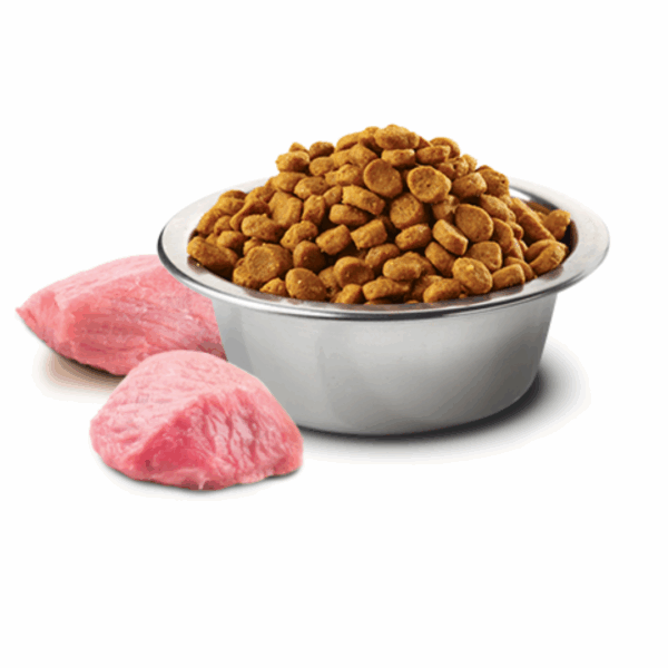 Farmina Cat N&D Pumpkin Adult Neutered Quaglia - 300 g - immagine 3