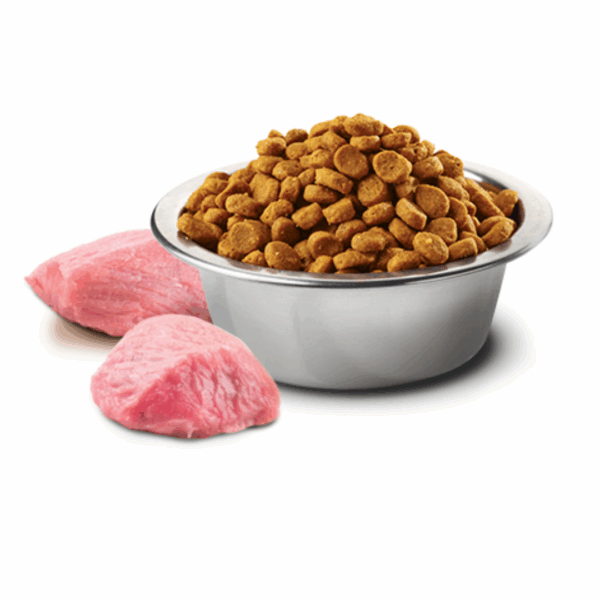Farmina Dog N&D Brown Mini Adult Agnello - 2 kg - immagine 3