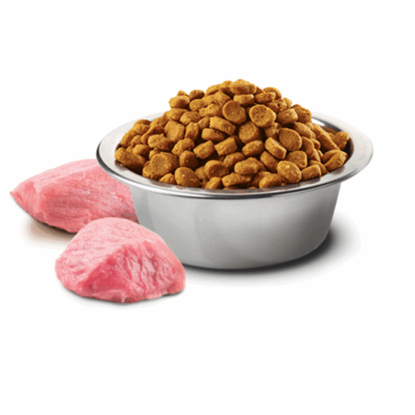 Farmina Dog N&D Pumpkin Mini Puppy Agnello – 2,5 kg - immagine 3