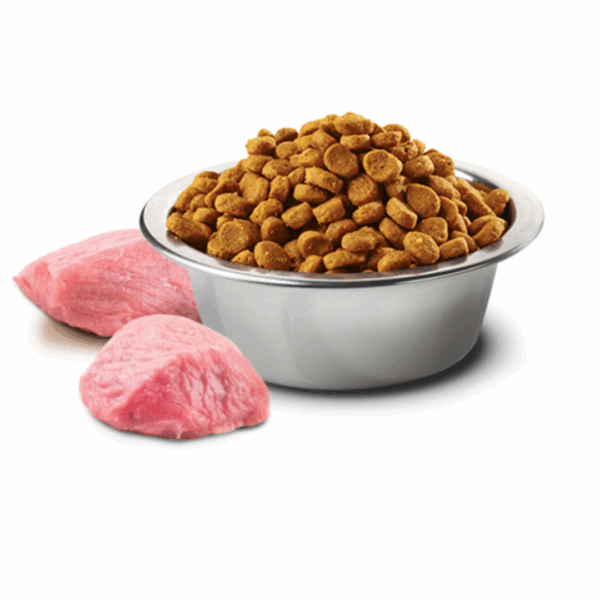 Farmina Dog N&D Pumpkin Puppy Medium&Maxi Agnello - 12 kg - immagine 3