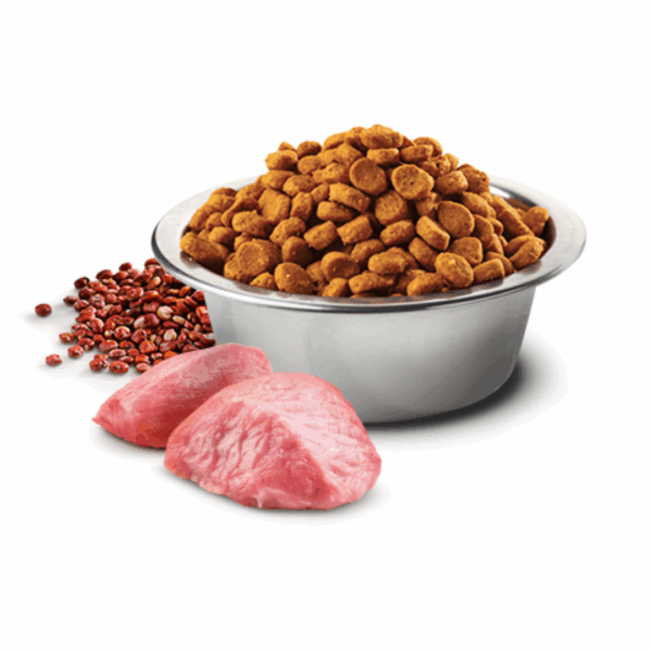Farmina Dog N&D Quinoa Weight Management Adult Mini Agnello - 2,5 kg - immagine 3
