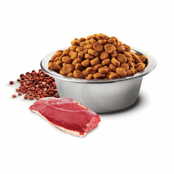 Farmina Dog N&D Quinoa Neutered Medium&Maxi Adult Anatra – 2,5 kg - immagine 3