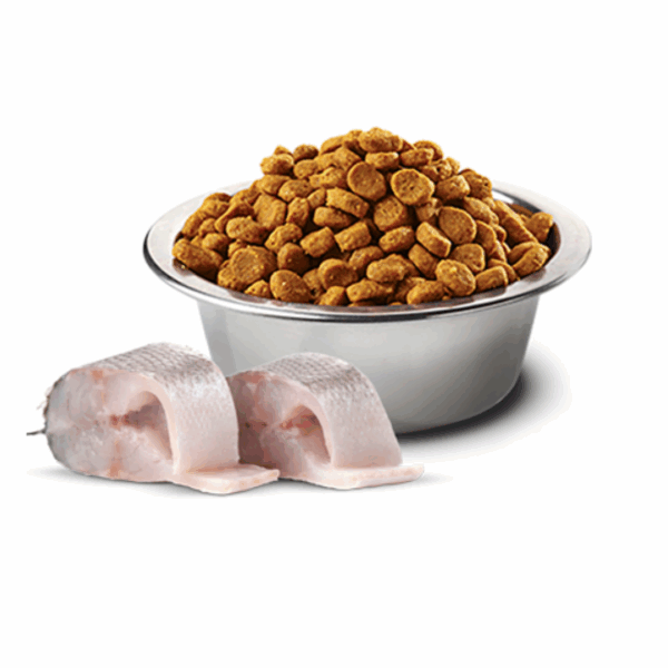 Farmina Dog N&D White Mini Puppy Spigola – 1,5 kg - immagine 3