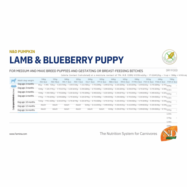 Farmina Dog N&D Pumpkin Puppy Medium&Maxi Agnello - 12 kg - immagine 2