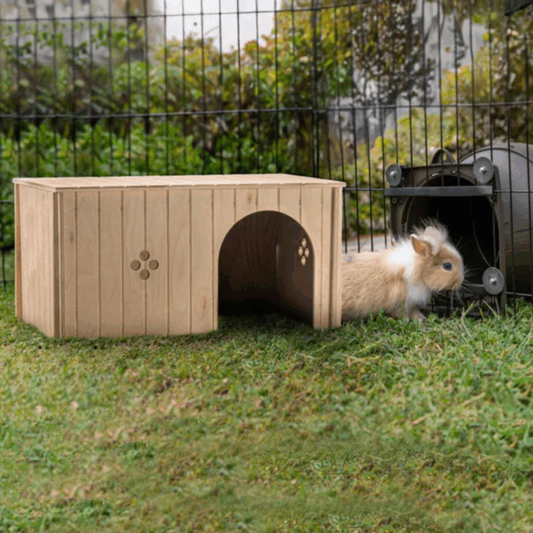 Ferplast Casetta per Conigli in Legno MAXI - 52 X 31 X h 26 cm - immagine 3